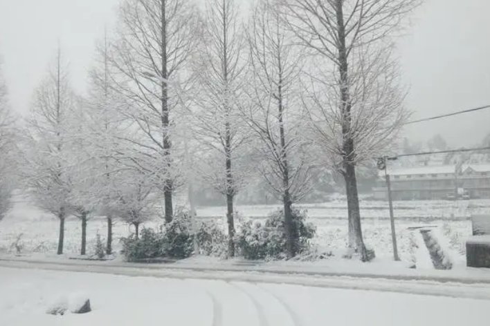 大雪纷飞的意思