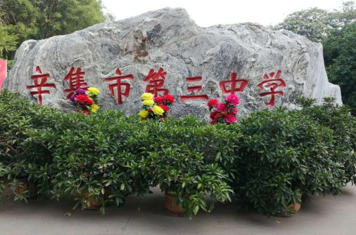 辛集中学有哪些?