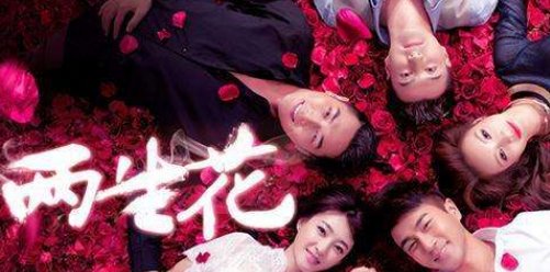 岁月是朵两生花结局