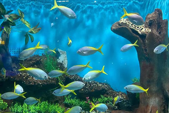 宁波亲子游玩景点推荐