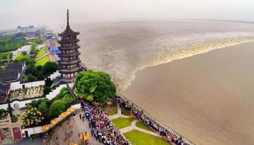 农历8月18日是什么节