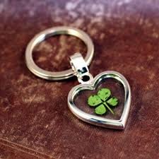 马来西亚哪里有四叶草?