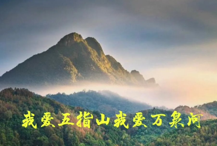 我爱五指山我爱万泉河歌词