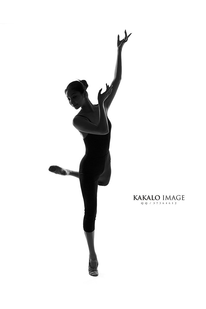 党丽欣的演艺经历