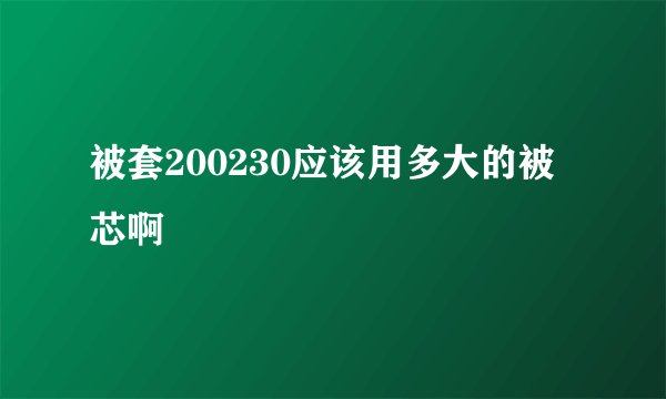 被套200230应该用多大的被芯啊
