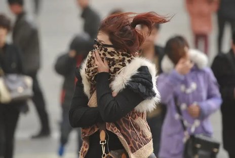 北京风力达8-9级，有大树被吹倒，为什么北京时常出现大风？