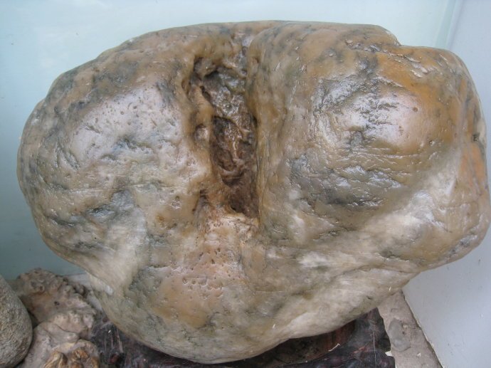 阴阳奇石的介绍