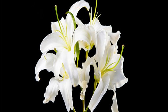 入殓是什么意思解释