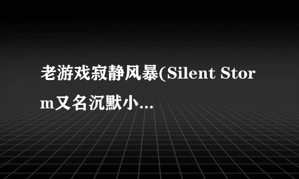 老游戏寂静风暴(Silent Storm又名沉默小组1943)的一些小问题