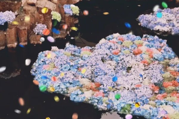 叶澜归式的宠爱是什么意思