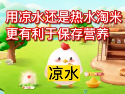 用什么水淘米蚂蚁