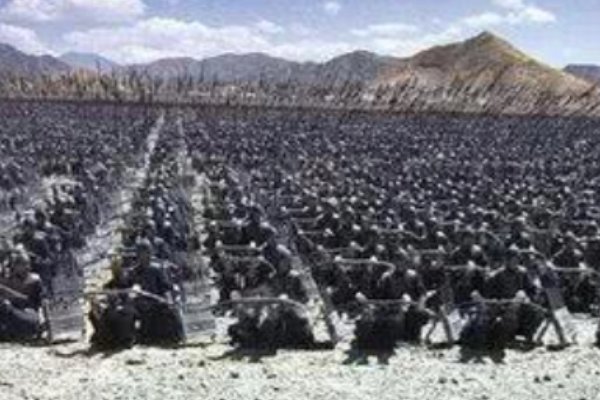 按兵不动是什么意思