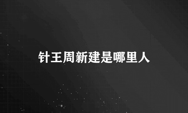 针王周新建是哪里人