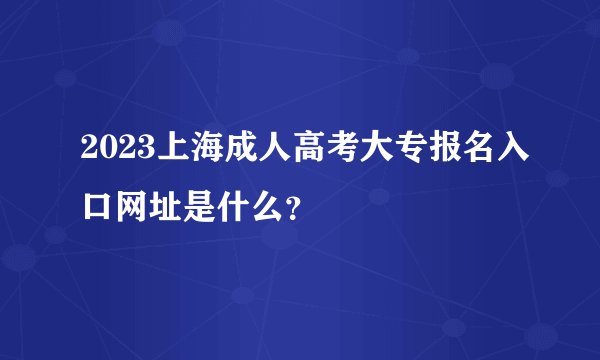 2023上海成人高考大专报名入口网址是什么？