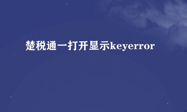 楚税通一打开显示keyerror