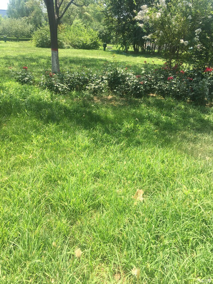 认识大家有段时间了，说说我的红标哈弗H6，用车分享