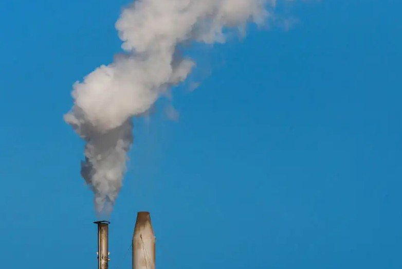 gases是什么意思