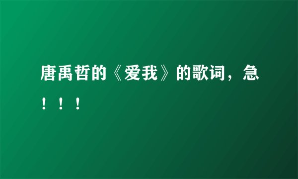 唐禹哲的《爱我》的歌词，急！！！