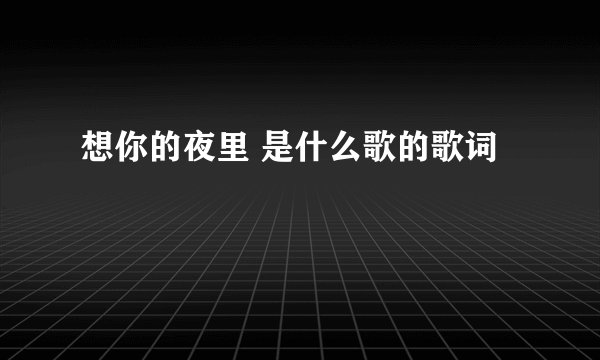 想你的夜里 是什么歌的歌词