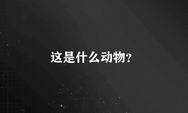这是什么动物？
