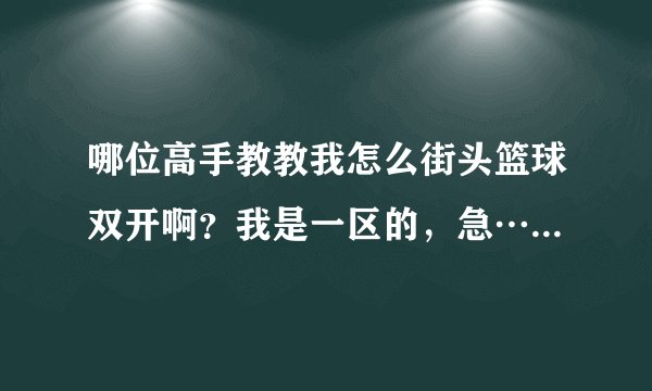 哪位高手教教我怎么街头篮球双开啊？我是一区的，急……希望高手帮小弟下。