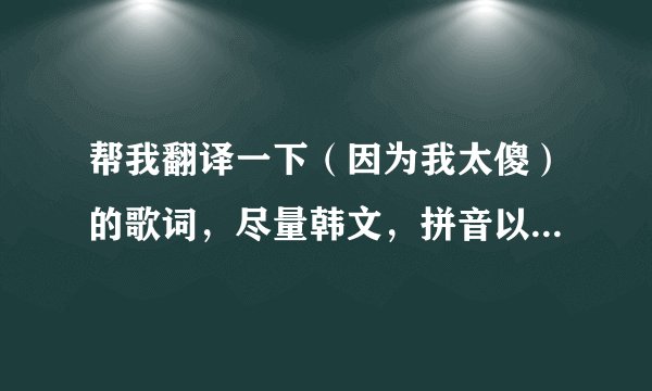 帮我翻译一下（因为我太傻）的歌词，尽量韩文，拼音以及中文都具备。谢