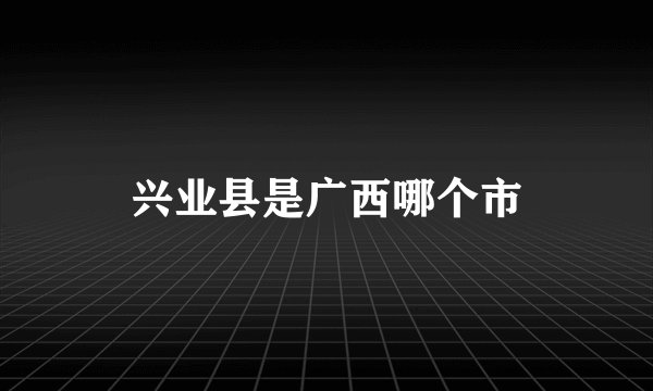 兴业县是广西哪个市