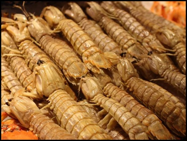 广州自助餐厅排行榜前十名