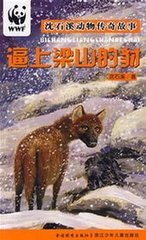 被逼上梁山的豺 读书卡怎么写?