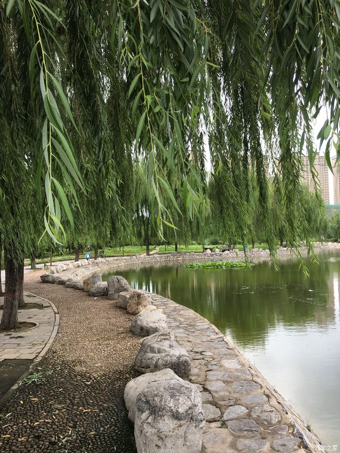 认识大家有段时间了，说说我的红标哈弗H6，用车分享