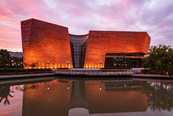 如何查看投档状态