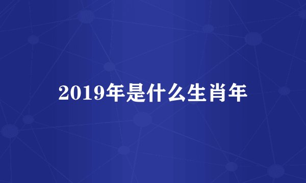 2019年是什么生肖年