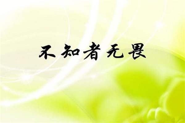 不知者无畏 知而深深畏的意思