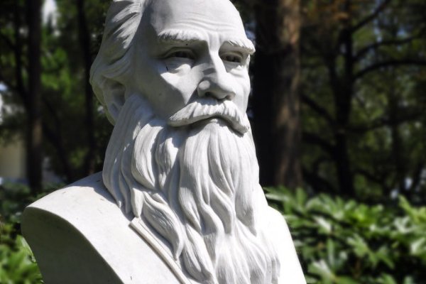 托尔斯泰说过理想是指路明灯