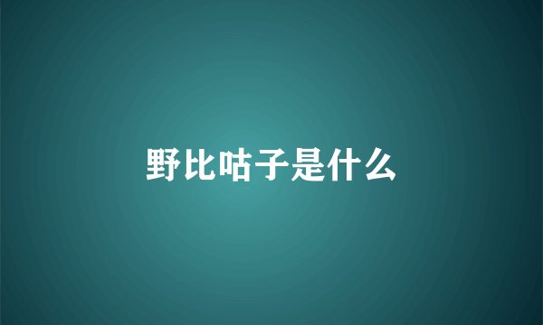 野比咕子是什么