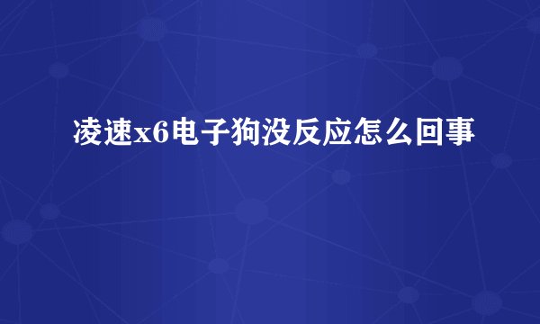 凌速x6电子狗没反应怎么回事