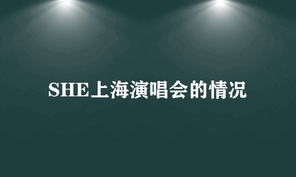 SHE上海演唱会的情况