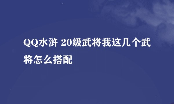 QQ水浒 20级武将我这几个武将怎么搭配