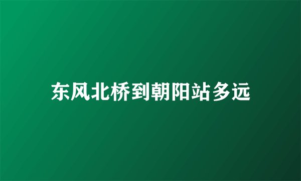 东风北桥到朝阳站多远