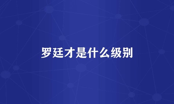罗廷才是什么级别