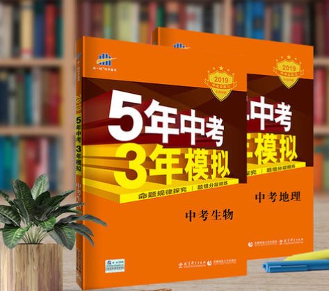 53中考是什么意思?