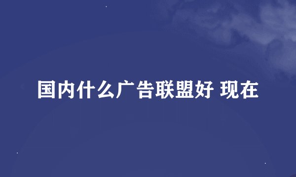 国内什么广告联盟好 现在
