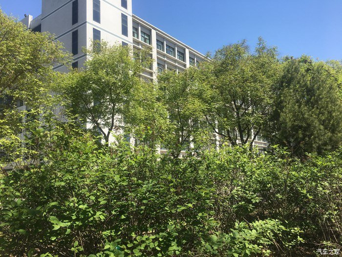 认识大家有段时间了，说说我的红标哈弗H6，用车分享