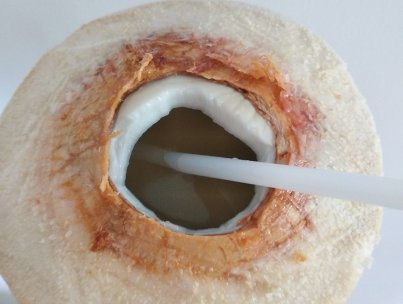 带皮的椰子，那最外面的那层皮应该怎样去掉呢？