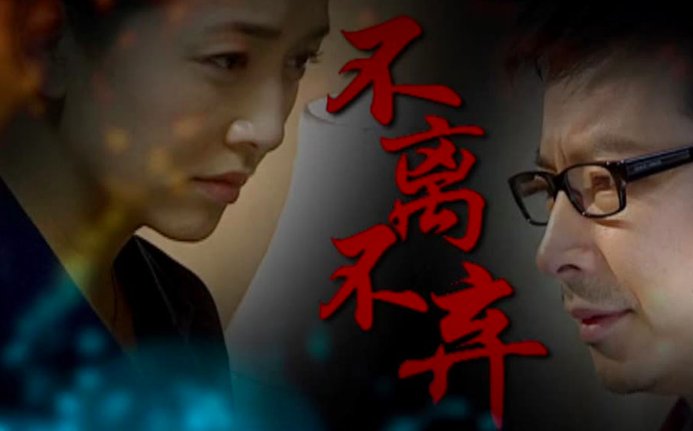 不离不弃电视剧大结局