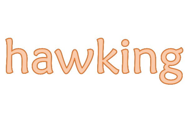 hawking什么意思中文