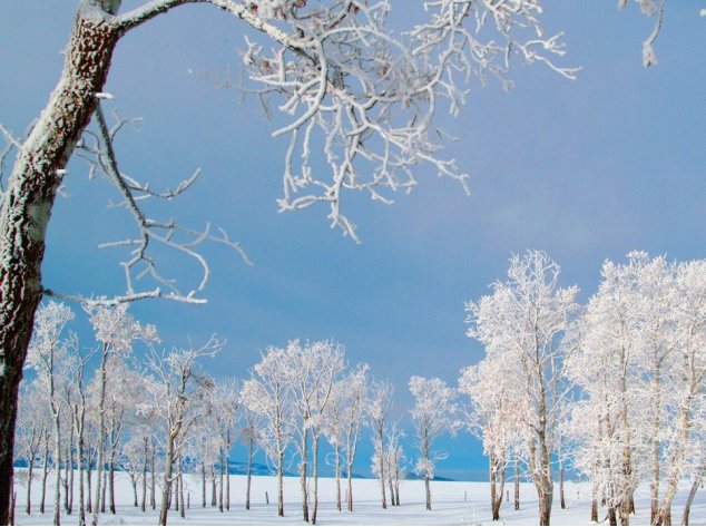 瑞雪名字的含义是什么