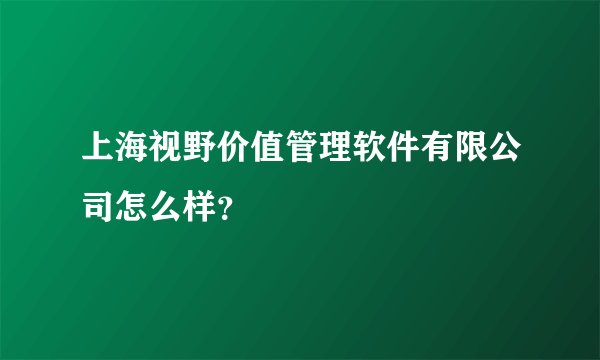 上海视野价值管理软件有限公司怎么样？