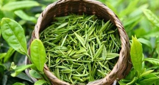 什么样的茶叶属于绿茶