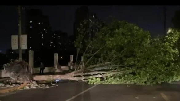 江苏突发14级大风，14级大风的破坏力到底有多强？